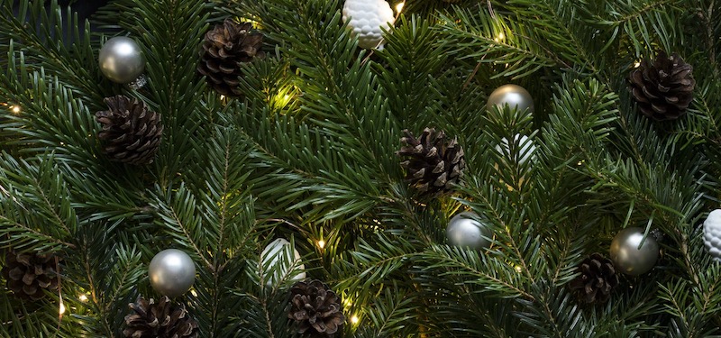 xmas 2021